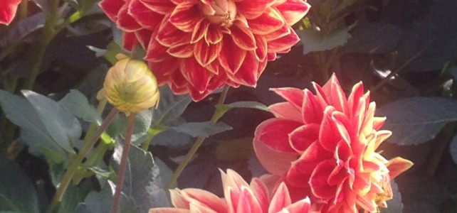Sommerzeit – Freie Zeit